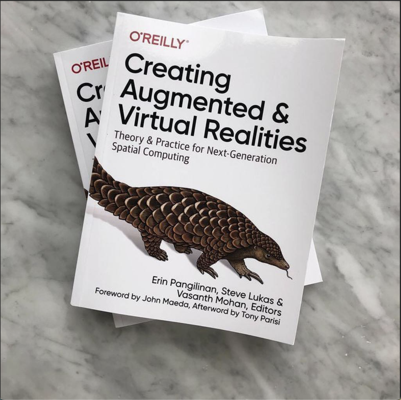 Creating Augmented and Virtual Realities Book fresh off the presses (photo credit: Timoni West) 
